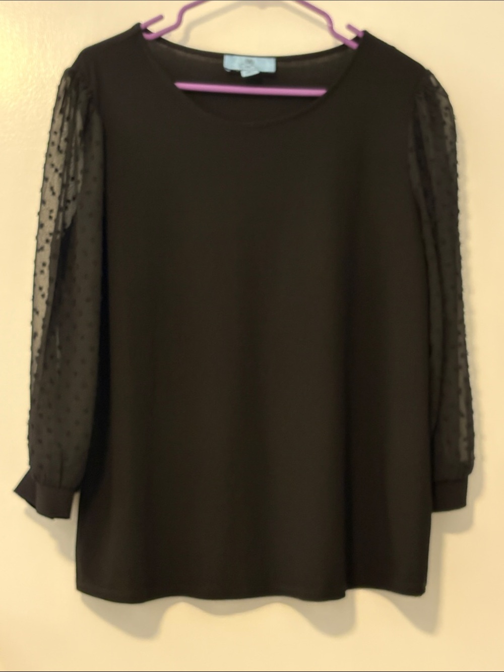 Black Blouse with Sheer Dotted Sleeves